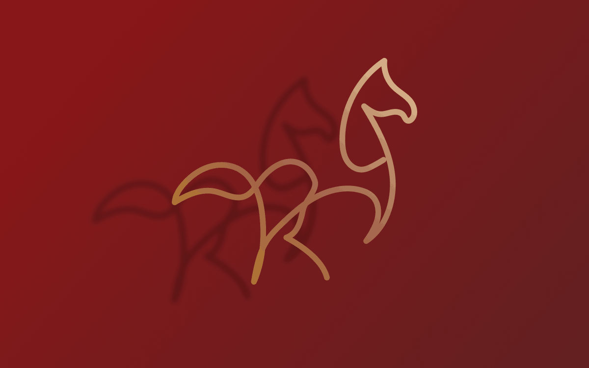 PONY